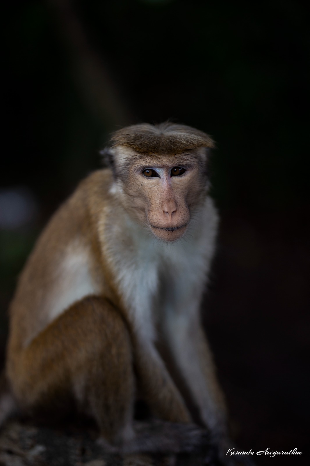 Close-up of a camera focusing on a subject's eye