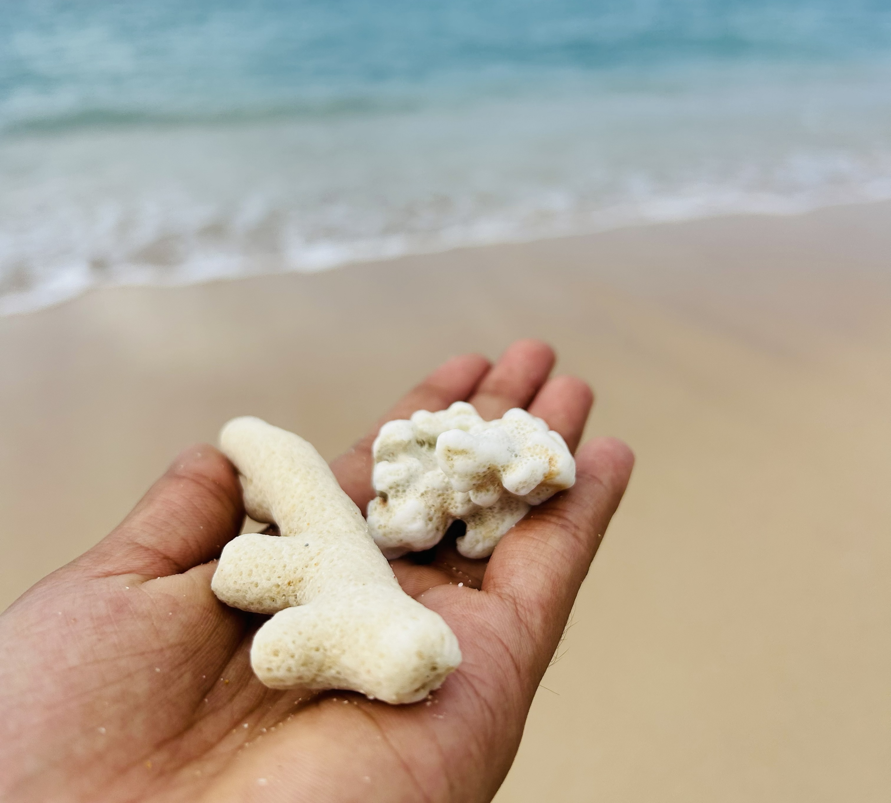 Portrait showing sharp eyes against a soft background
